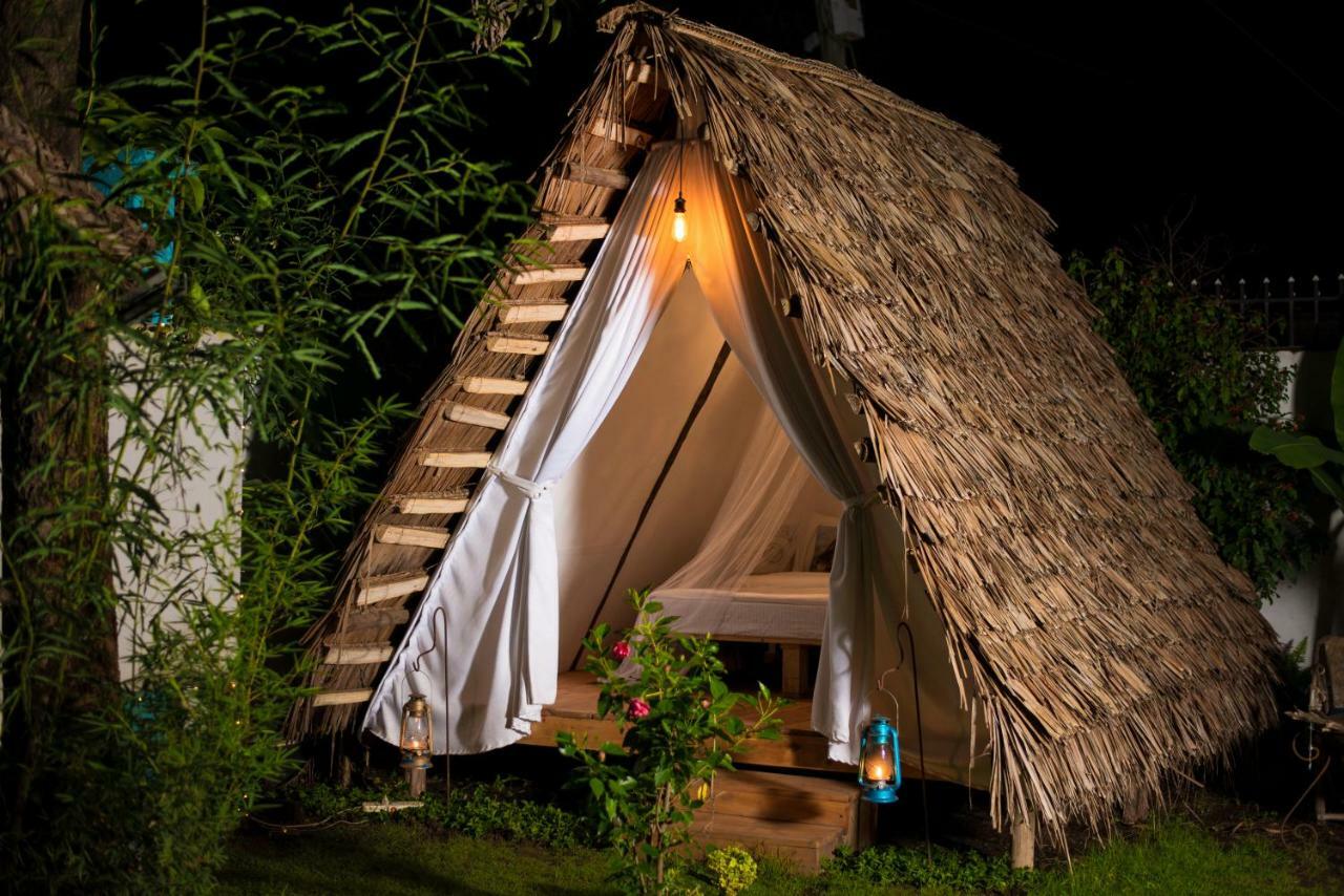 Mambo Arusha Hostel Εξωτερικό φωτογραφία